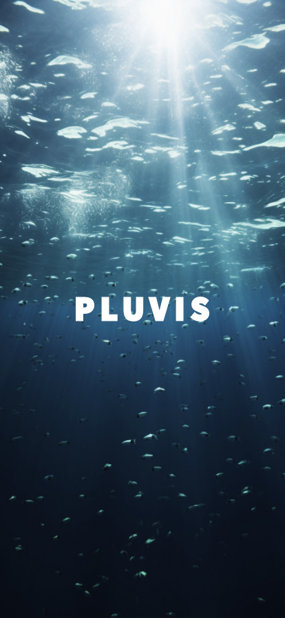 PLUVIS 스플래시 화면